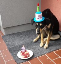 2. Geburtstag