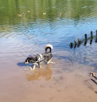 Carlos am Heider Bergsee