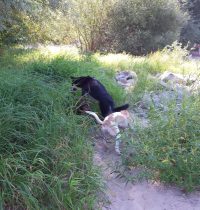 Carlos und Mikky am Molenkopf