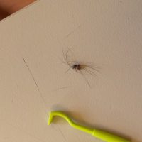 20160531_103102
