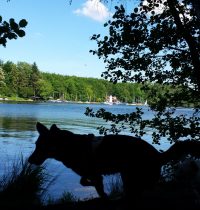 Vatertag am Heider Bergsee