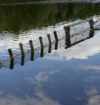 Kamera-Test am Heider Bergsee mit FZ300