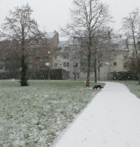 Der erste Schnee in Köln