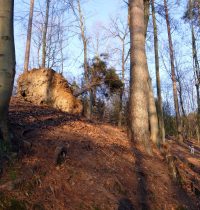 Von Bensberg über den Kadettenweiher zum Naturfreundehaus Hardt