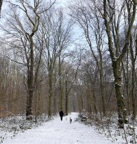 Schnee im Gremberger Wäldchen