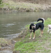 Ostermontag in Hoffnungsthal an der Sülz