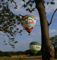 Bonner Freizeitpark Rheinaue