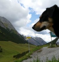 Roadtrip nach Tirol