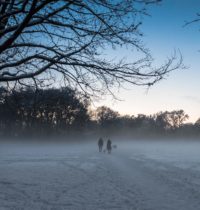 Schneenebel zur blauen Stunde