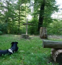 Trostwald Odenthal