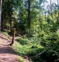 Kupfersiefer Bachtal