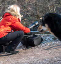 Tierisch-photogen.de getroffen