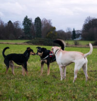 Rumstehen mit Emmi und Luna