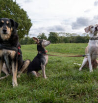 Fotoshooting in Westhovener Aue